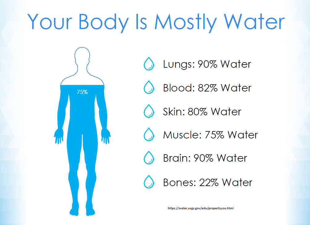 Infographic titled “Your Body Is Mostly Water,” showing a human figure with 75% water composition and listing water percentages in different organs: lungs 90%, blood 82%, skin 80%, muscles 75%, brain 90%, and bones 22%.